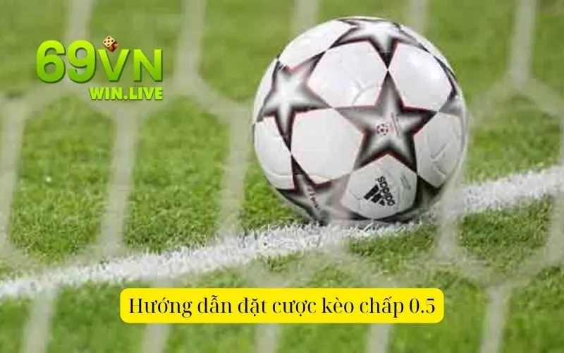 Hướng dẫn đặt cược kèo chấp 0.5