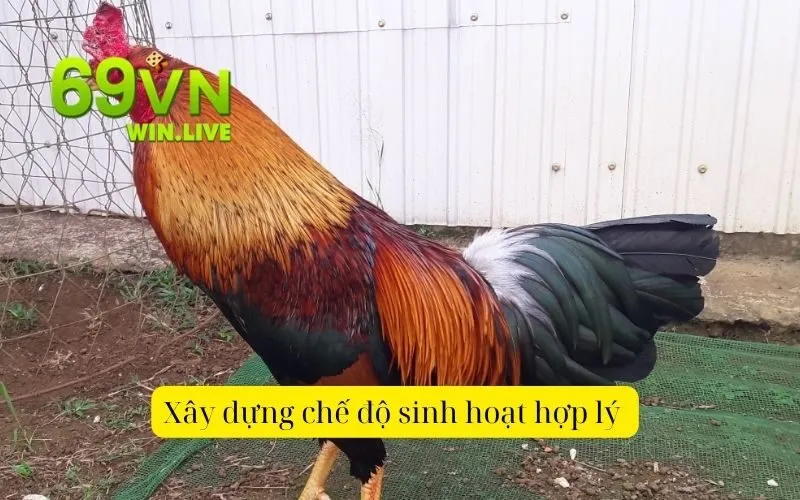 Xây dựng chế độ sinh hoạt hợp lý