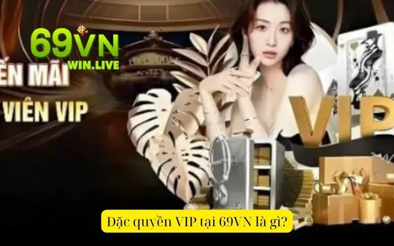 Đặc quyền VIP tại 69VN là gì